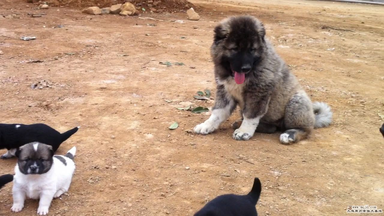 20111103124722.jpg