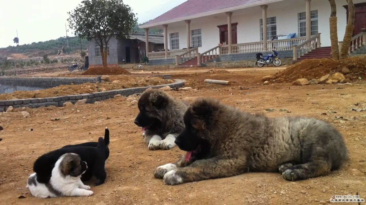 20111103124943.jpg