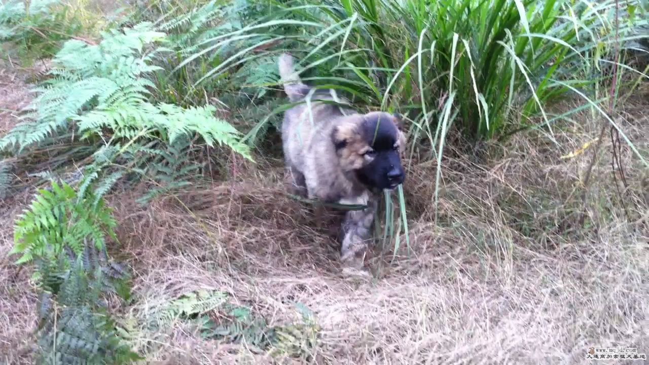 20111105190206.jpg