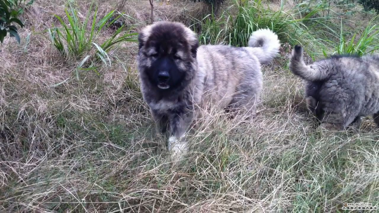 20111105190036.jpg