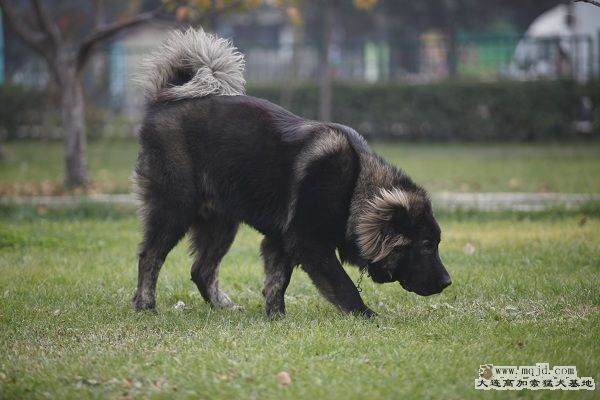 _MG_9711.JPG