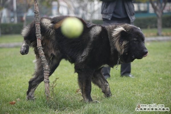 _MG_9717.JPG