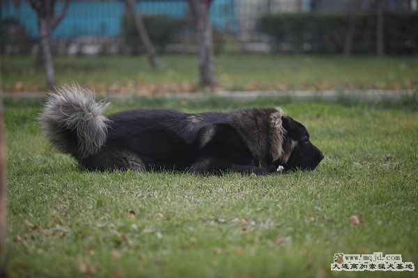 _MG_9709.JPG