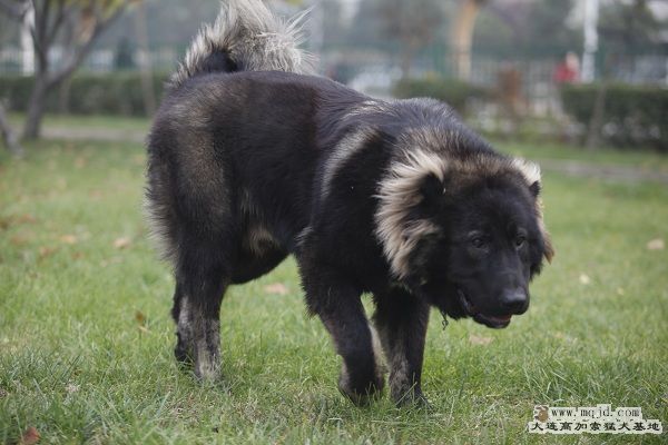 _MG_9728.JPG
