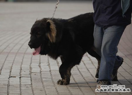 _MG_9804.JPG