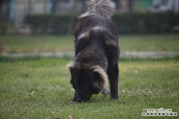 _MG_9712.JPG