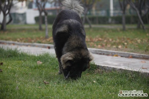 _MG_9719.JPG