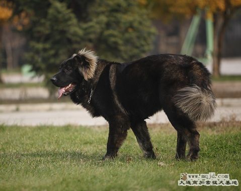 _MG_9767.JPG