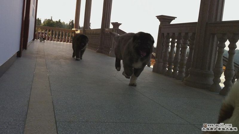 ͼ20111121916250.jpg