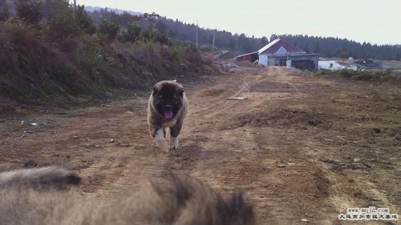 201111283980562_.jpg