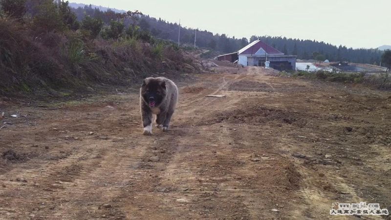 201111284001265_.jpg