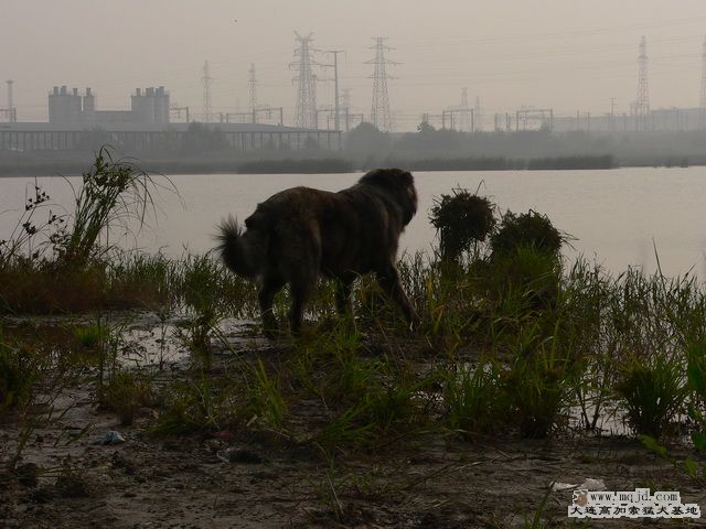 P1240244.jpg