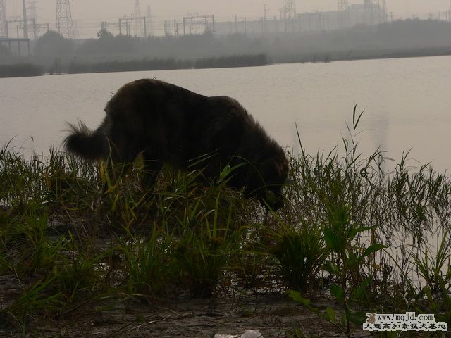 P1240247.jpg