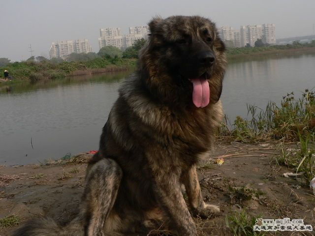 P1240256.jpg