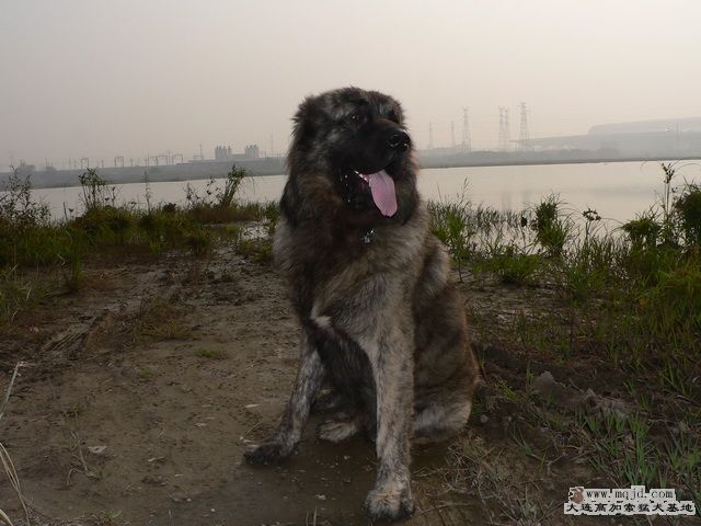P1240275.jpg