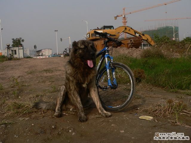 P1240289.jpg