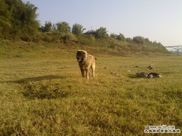 20111202149_.jpg