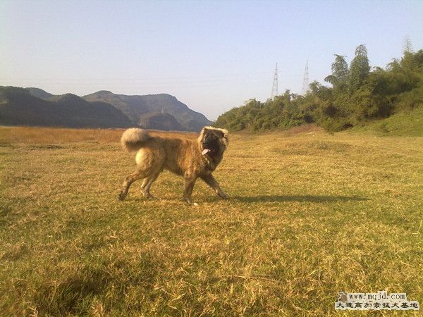 20111202144_.jpg