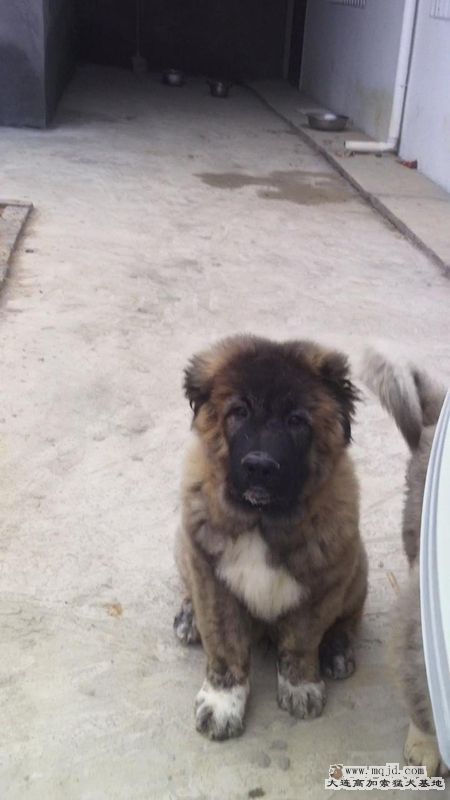 201112621454125_.jpg
