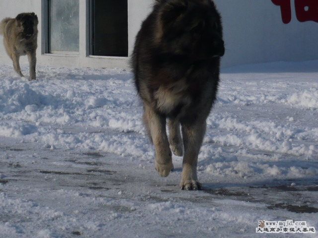 P1070344.JPG