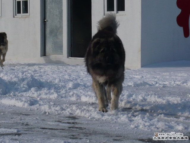 P1070342.JPG