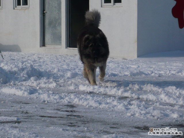 P1070340.JPG