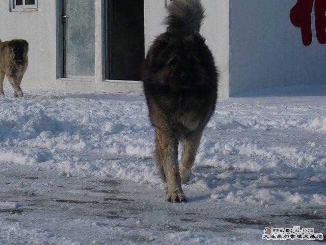 P1070343.JPG