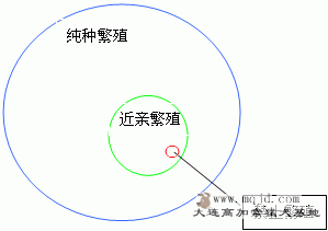 20101271339497791.gif