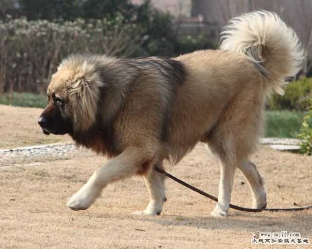 20111224_1095d_36.8m_010_D1.JPG