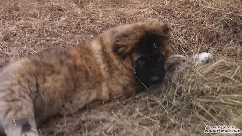 201112271001546.jpg