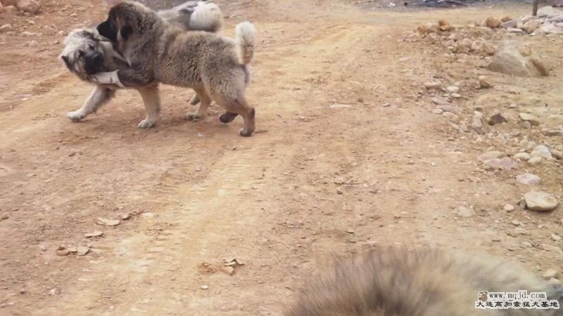20111227721812.jpg