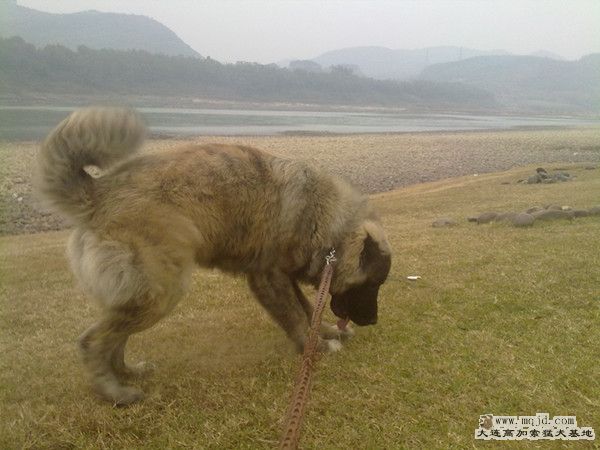 20120101206_.jpg