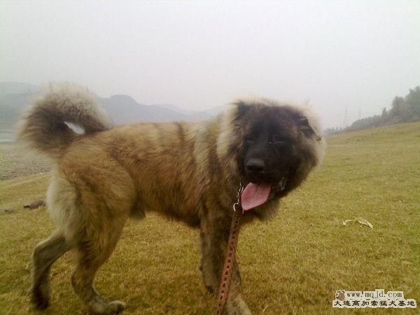 20120101207_.jpg