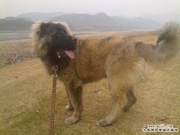 20120101216_.jpg