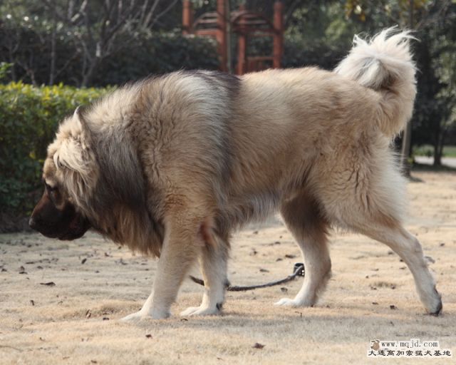 20111224_1095d_36.8m_005_D1.JPG