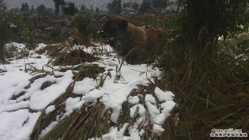201212311949125_.jpg