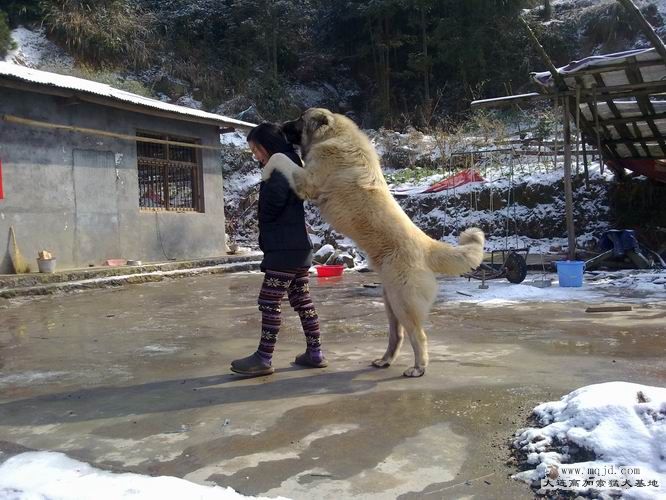 С 20120125480.jpg