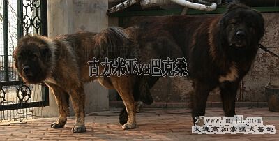 IMG_4835.JPG