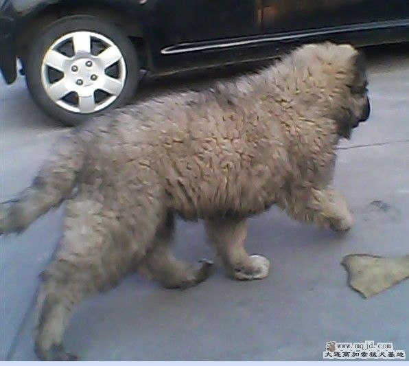 QQͼ20120204163236.jpg