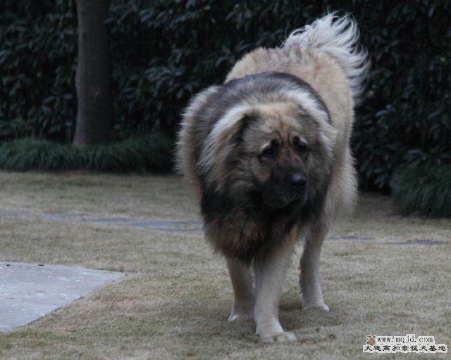 20120127_3y2m_011_D1.JPG