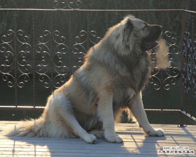 20120127_3y2m_019_D1.JPG