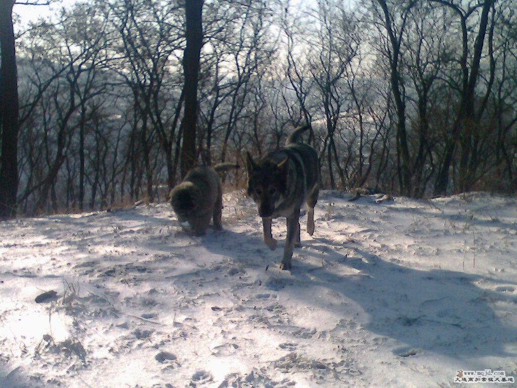 picture_00572.jpg