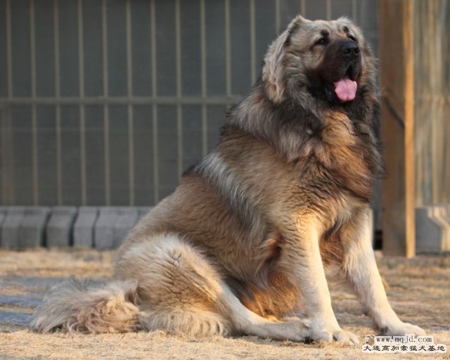 20120219_3y2d6m_006_D1.JPG