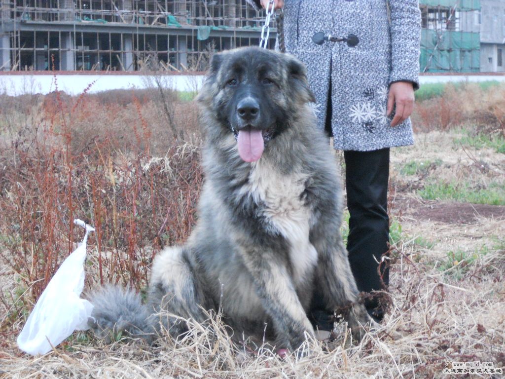 2012.2.27 266.jpg
