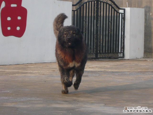 P1070908.JPG