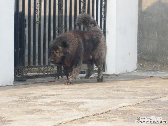 P1070911.JPG