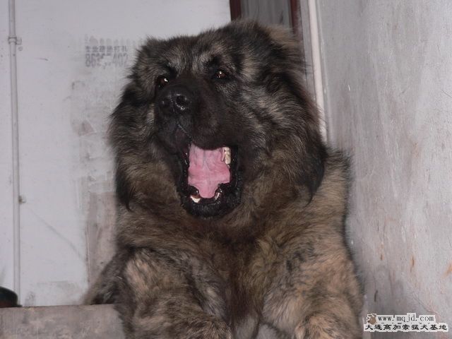 P1240570.jpg