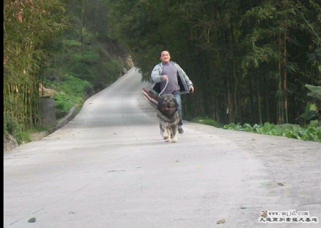 24.jpg