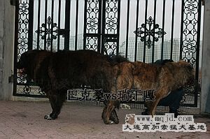 IMG_6633.JPG