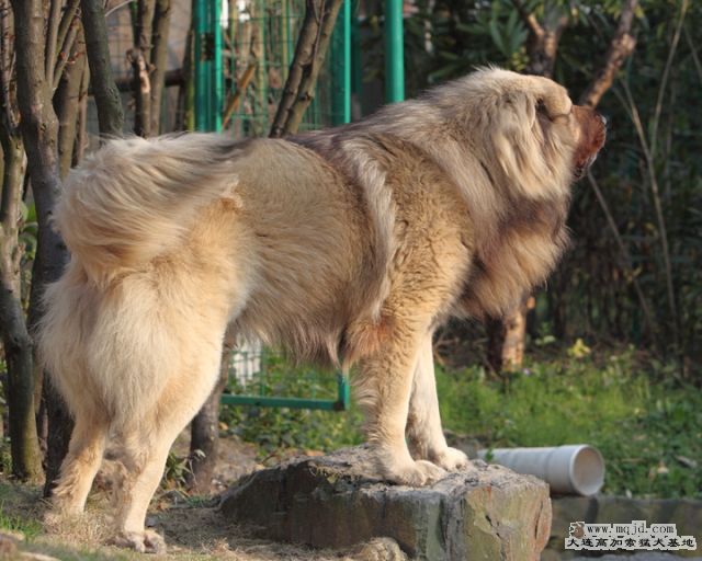 20120325_40m_020_D1.JPG